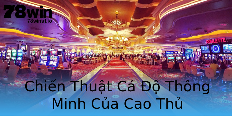 Chiến Thuật Cá Độ Thông Minh Của Cao Thủ Chiến Thuật Cá Độ Thông Minh Của Cao Thủ